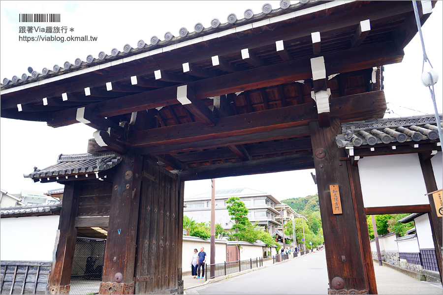 京都私房景點》京都一本橋／行者橋～柳樹相伴的古老小石橋，底下溪水超級清澈的小秘境旅點！
