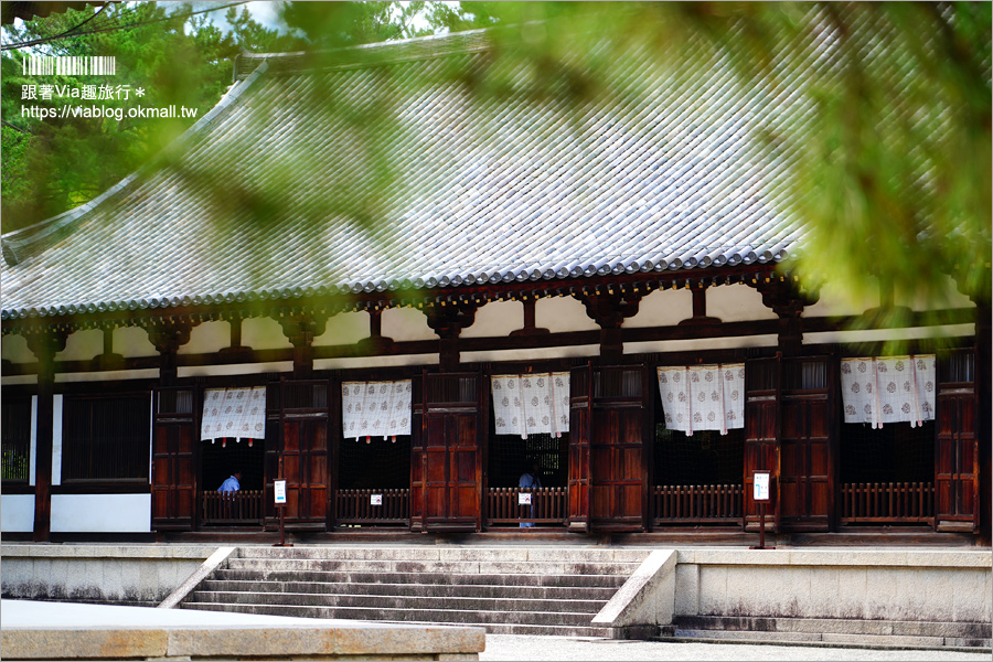 奈良景點》奈良古廟之旅～在地人才知的私房寺院看這篇：小房觀音寺／唐招提寺／西大寺