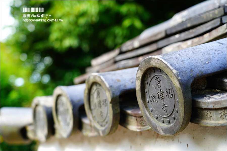 奈良景點》奈良古廟之旅～在地人才知的私房寺院看這篇：小房觀音寺／唐招提寺／西大寺
