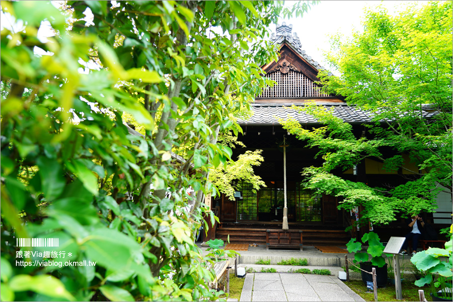 京都勝林寺》朝聖日本最夯的花幻花手水！秋季來還有「吉祥紅葉」美景的紅葉名勝！