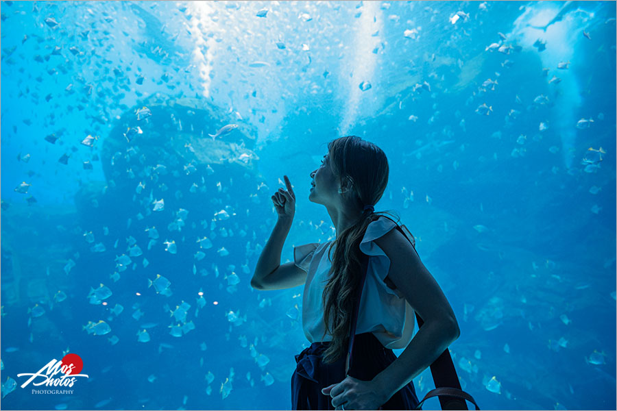 桃園Xpark水族館》青埔八景島水族館 Xpark都會型水生公園～2020年8月7日隆重開幕，亮點搶先看！！