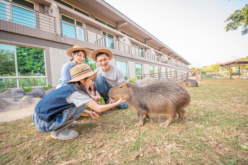 新竹住宿》來去和動物住一晚～關西六福莊生態渡假旅館