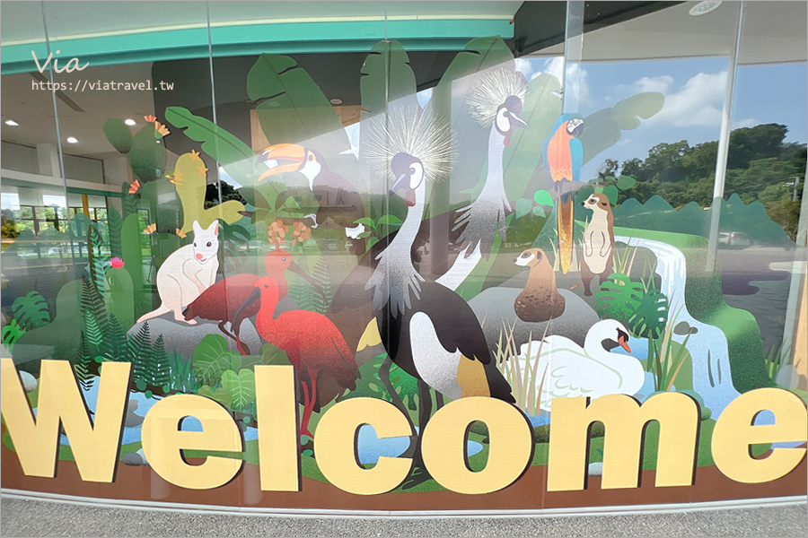 九九峰動物樂園》全新開幕！打造亞洲最大的鳥類主題樂園，超多鳥類、羊駝、狐獴等可愛動物和你近距離相見歡