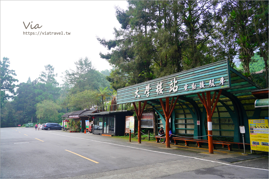 溪頭住宿》溪頭福華渡假飯店～超美！溪頭森林遊樂區中的風格旅宿！全翻新的雲杉樓、漢光樓質感登場！