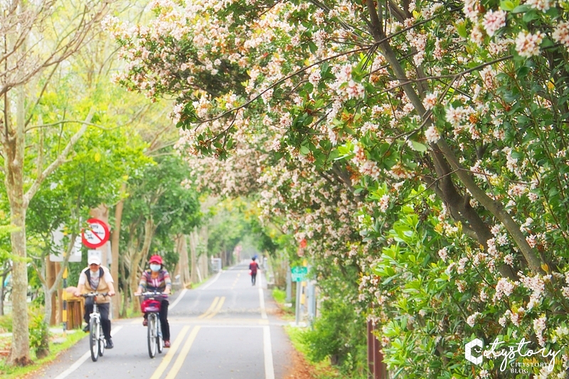 台中潭子景點》潭雅神綠園道～S彎道、波浪車道-攝影必拍森林裡自行車超舒服
