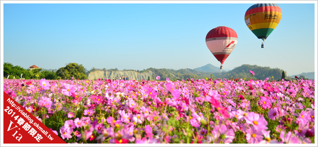 台南冬季熱氣球嘉年華會～花海加熱氣球，美翻了！
