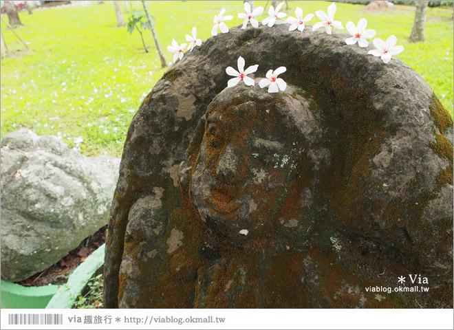 【桐花2014】南投油桐花景點～牛耳石雕藝術渡假村賞桐趣32