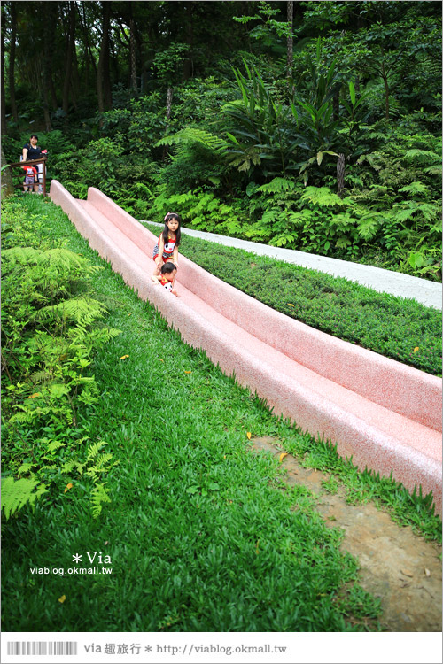 【新竹景點推薦】森林鳥花園～親子旅遊的好去處！在森林裡鳥兒與孩子們的樂園29
