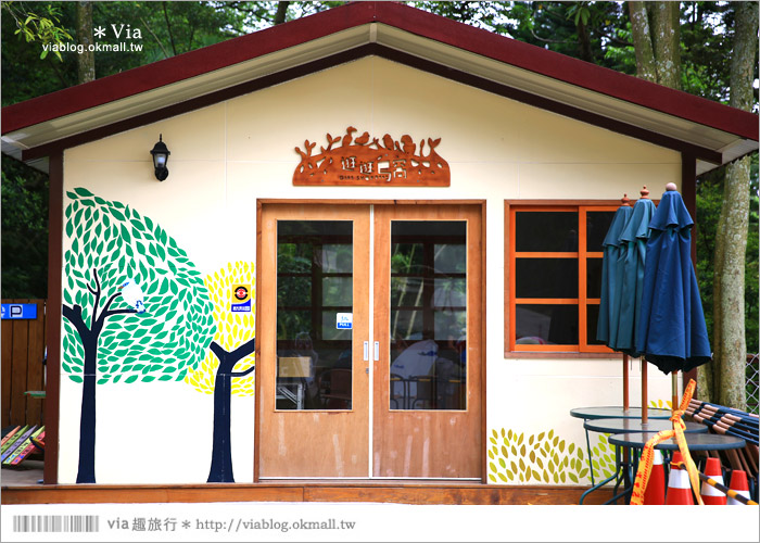【新竹景點推薦】森林鳥花園～親子旅遊的好去處！在森林裡鳥兒與孩子們的樂園20