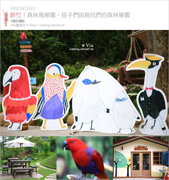 【新竹景點推薦】森林鳥花園～親子旅遊的好去處！在森林裡鳥兒與孩子們的樂園1