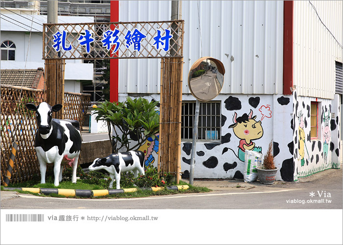 【彰化景點推薦】乳牛彩繪村(福寶村)～數百頭彩色小牛＋夢幻藍晒圖的彩色村5
