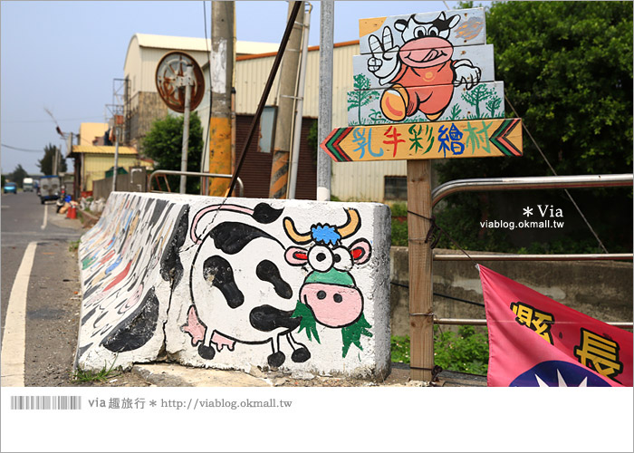 【彰化景點推薦】乳牛彩繪村(福寶村)～數百頭彩色小牛＋夢幻藍晒圖的彩色村3