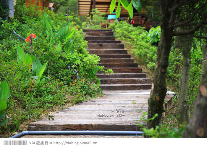 【新竹景點推薦】森林鳥花園～親子旅遊的好去處！在森林裡鳥兒與孩子們的樂園26