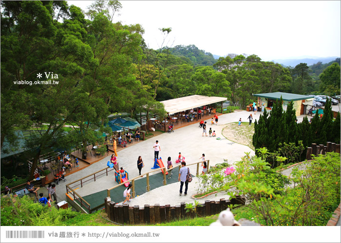 【新竹景點推薦】森林鳥花園～親子旅遊的好去處！在森林裡鳥兒與孩子們的樂園21