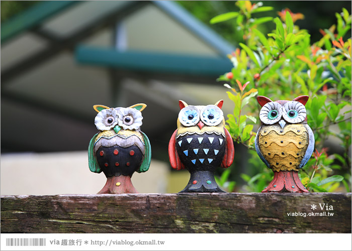 【新竹景點推薦】森林鳥花園～親子旅遊的好去處！在森林裡鳥兒與孩子們的樂園55