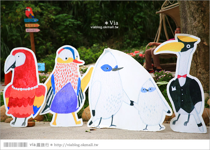 【新竹景點推薦】森林鳥花園～親子旅遊的好去處！在森林裡鳥兒與孩子們的樂園19
