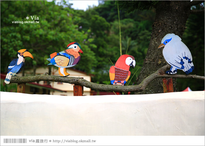 【新竹景點推薦】森林鳥花園～親子旅遊的好去處！在森林裡鳥兒與孩子們的樂園3