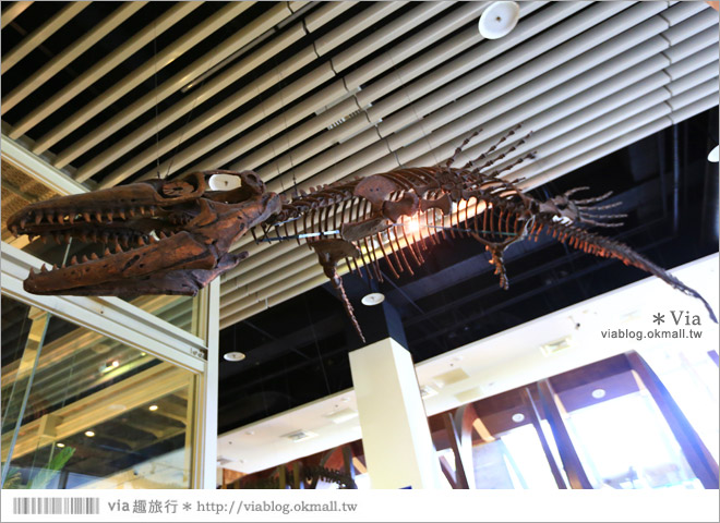 【台南南科景點】樹谷生活科學館～超大的劍齒象化石！有趣又能長知識的博物館！10