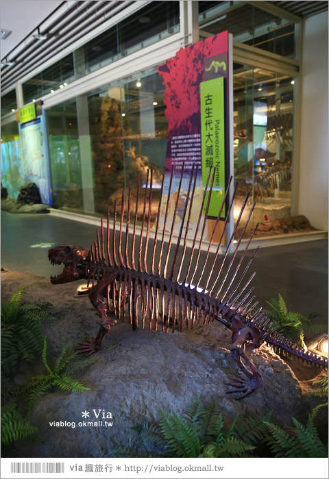 【台南南科景點】樹谷生活科學館～超大的劍齒象化石！有趣又能長知識的博物館！9