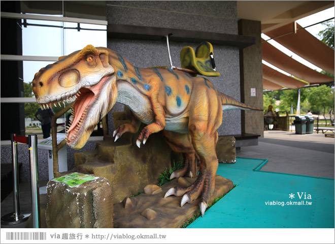 【台南南科景點】樹谷生活科學館～超大的劍齒象化石！有趣又能長知識的博物館！5