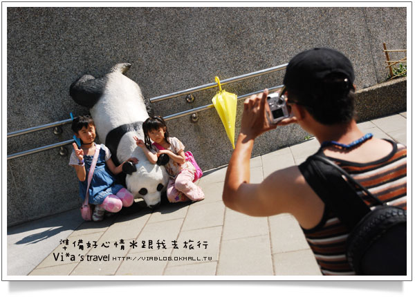 【台北市立動物園】台北木柵動物園貓熊～團團圓圓熊貓一日遊