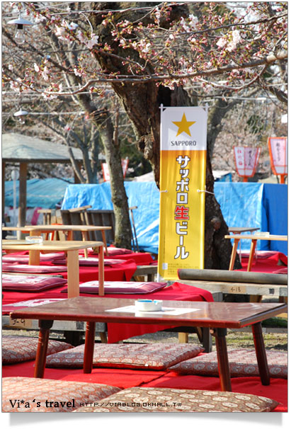 【日本京都旅遊】京都賞櫻名所～櫻花滿開的圓山公園