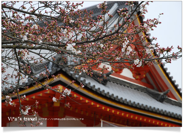 【京都春櫻旅】京都旅遊景點必訪～京都清水寺之美京都清水寺10