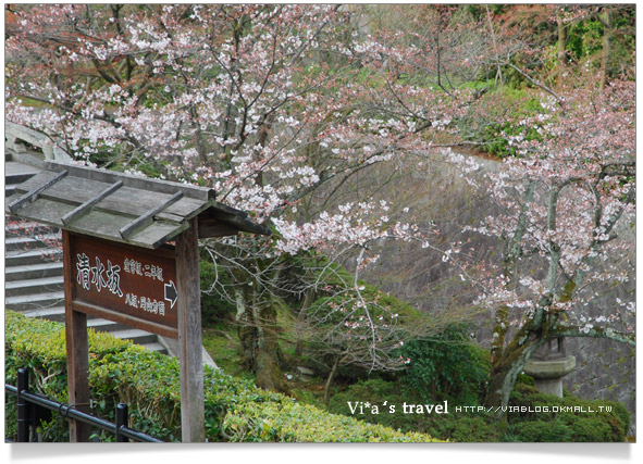 【京都春櫻旅】京都旅遊景點必訪～京都清水寺之美京都清水寺12