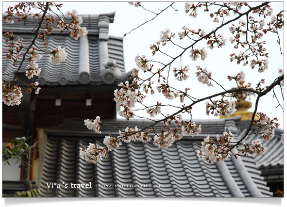 【京都春櫻旅】京都旅遊景點必訪～京都清水寺之美京都清水寺14