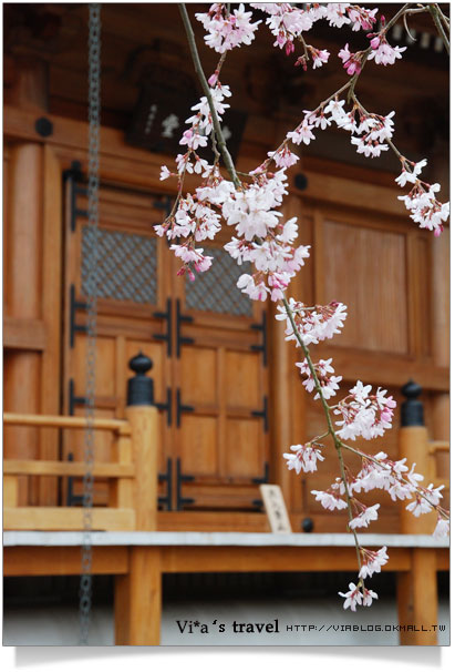 【京都春櫻旅】京都旅遊景點必訪～京都清水寺之美京都清水寺17