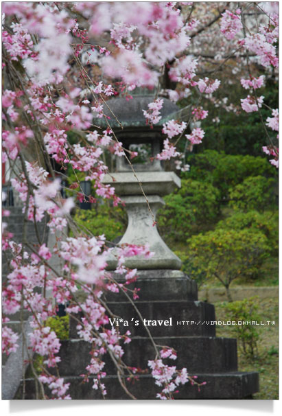 【京都春櫻旅】京都旅遊景點必訪～京都清水寺之美京都清水寺21