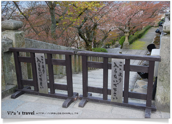 【京都春櫻旅】京都旅遊景點必訪～京都清水寺之美京都清水寺11