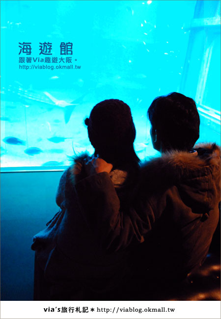【via關西冬遊記】世界最大極的水族館～大阪海遊館23