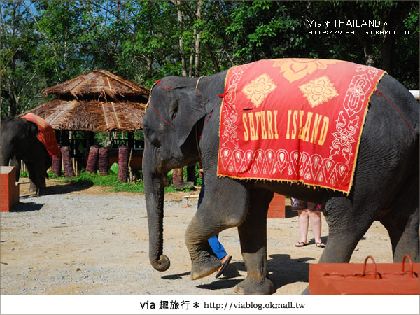 【泰國旅遊】2010‧泰輕鬆～Via帶你玩泰國曼谷、普吉島！21