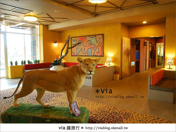 【新竹住宿】來去和動物住一晚～關西六福莊生態渡假旅館4