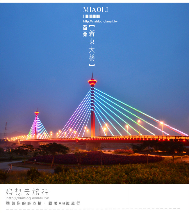 【苗栗夜景】新東大橋～苗栗的美麗夜景！彩虹般繽紛的斜張橋！