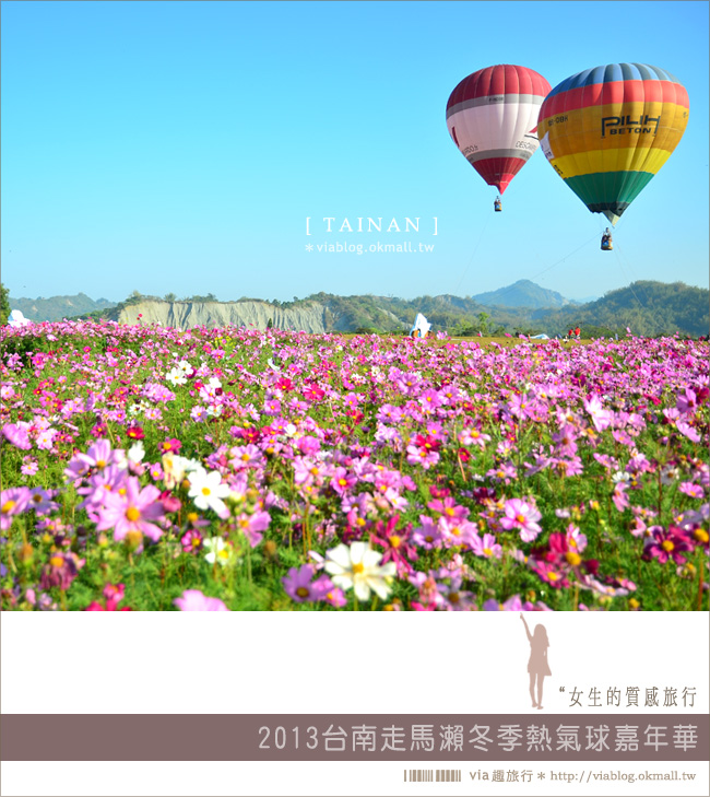 【台南走馬瀨熱氣球】台南冬季熱氣球嘉年華會2013～花海加熱氣球，美翻了！