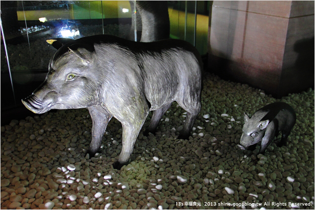 《13遊記》嘉義市立博物館～小心長毛象和白鯊出沒身邊！！