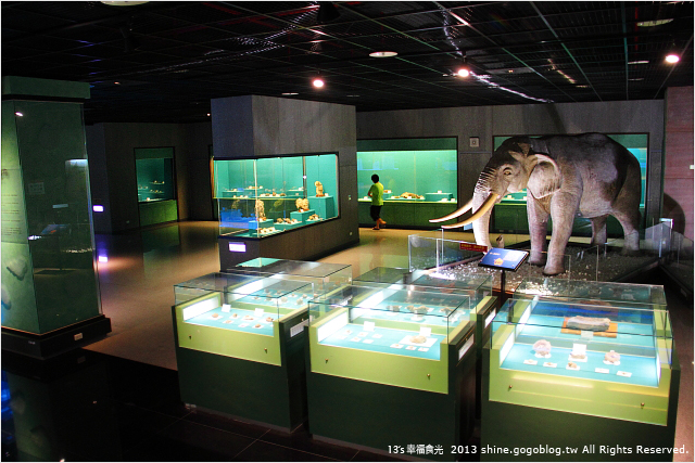 《13遊記》嘉義市立博物館～小心長毛象和白鯊出沒身邊！！