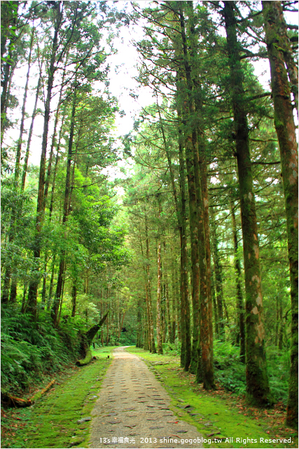 《13遊記》宜蘭一日遊景點「明池森林遊樂區」～暑假避暑勝地