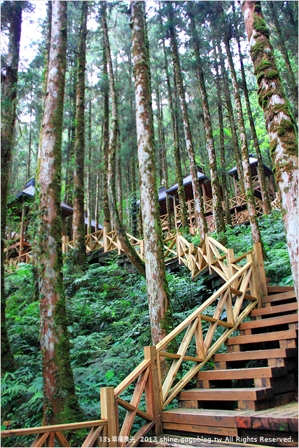 《13遊記》宜蘭一日遊景點「明池森林遊樂區」～暑假避暑勝地