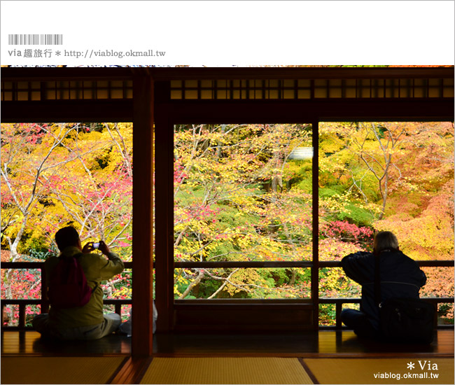京都賞楓景點》京都琉璃光院～美翻！日式屋廊與紅葉結合的美景！