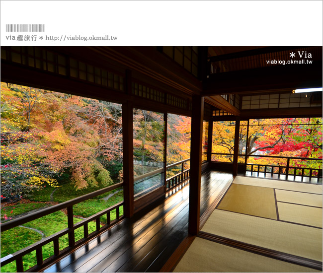 京都賞楓景點》京都琉璃光院～美翻！日式屋廊與紅葉結合的美景！